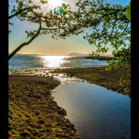 Maria Isabel Robless (@sarbell2020) 's Twitter Profile
