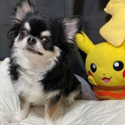 Airdrop_05's profile picture. 駅近メンエス専用ルームを貸出させて頂きます！！メンエス施術に必要な備品は全て揃っております。秘密厳守㊙️又、メンズエステの備品買取、買取実績多数あります！💫マンション型ルーム備品一式〜単体買取💫オンライン内見査定可能！お気軽にDMお電話ください🙆‍♂️ホームページ作成中ですのでお待ちください！