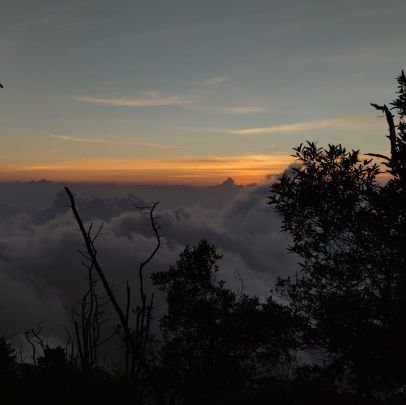 yoe_han's profile picture. 