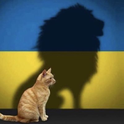 wladok7's profile picture. 