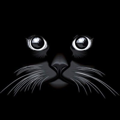 Blyter4's profile picture. 