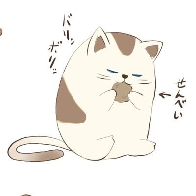 猫パンさんのプロフィール画像