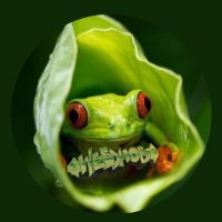 Christel Mett📯(@WeedFrosch) 's Twitter Profile Photo