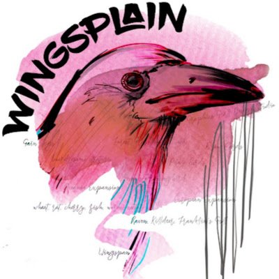 SplainWing's profile picture. The Leading Wingspan Strategy Website