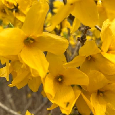 kuon_yukyu_'s profile picture. 絵が好き 無言フォロー失礼します