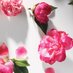 Dee Gord (@g15926500) Twitter profile photo Dee Gord (@g15926500) Twitter profile photo