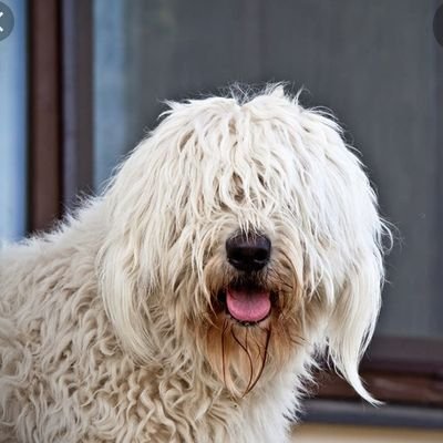 Barkley_hunt_'s profile picture. 