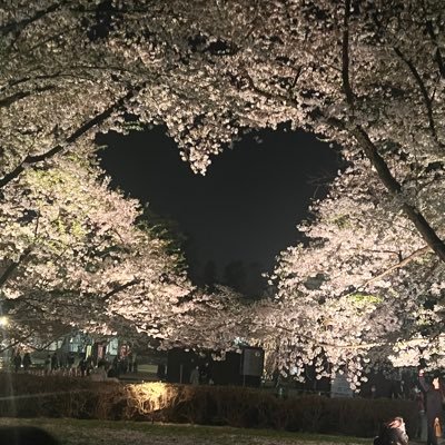 masya300's profile picture. よろしく