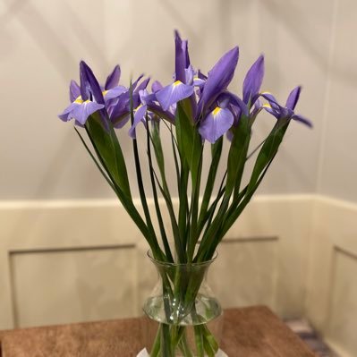 AmyRich68080475's profile picture. Very blessed in so many ways