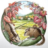 やまね酒造 若林福成【生物研究家】 (@yamaneshuzo) 's Twitter Profile Photo やまね酒造 若林福成【生物研究家】 (@yamaneshuzo) 's Twitter Profile Photo