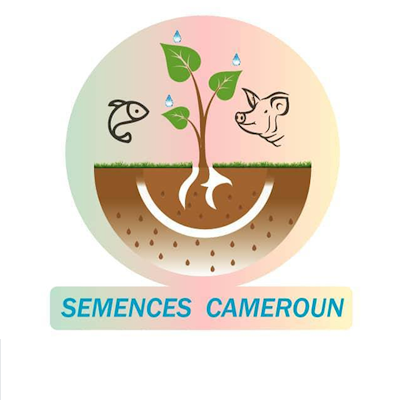 PREMIERE ENTREPRISE CAMEROUNAISE DEDIEE A LA PRODUCTION DE LA SEMENCE VEGETATIVE ET GENERATIVE.