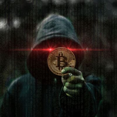 derBitcoinier Profile Picture