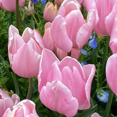 kirari40299137's profile picture. 