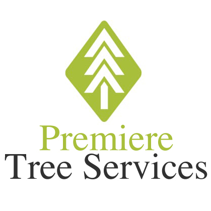 At Premiere Tree Services of Providence, we specialize in full-service horticultural and arboreal care Providence, Rhode Island!