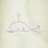 sknwhale