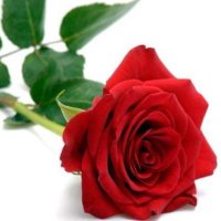 aytac11 (@aytac119) Twitter profile photo