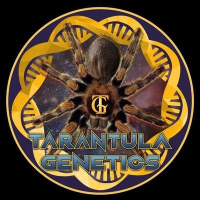 TarantulaGen's profile picture. Tarantula genetics michigan made