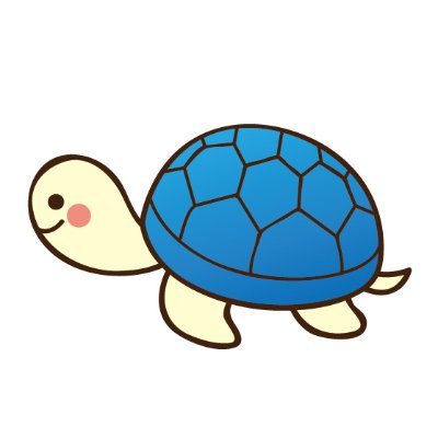 カメラマンのカメさん🐢