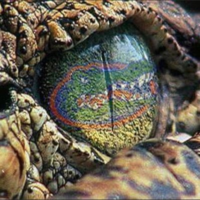 Florida licensed Private Investigative Agency. Full service Private Investigations & Certified Process Service. Former FL LEO - FL license. A-2900129 - A GATOR