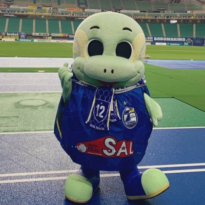 ハラミちゃんとサッカＪ2大分トリニータそしてホタルちとせつぼみの三兄妹が家族😊ハラミちゃんのピアノでピアノに興味もちました☺️そしてこーやって沢山のお米さんとお知り合いに出来ました魔法の言葉「まぁいいっか」よろしくお願いします