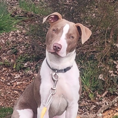 theescha's profile picture. 💆💇🏼💈✂️