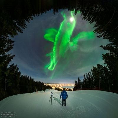 X__Official__'s profile picture. 