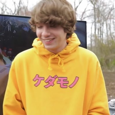 gamerboysappy's profile picture. #KARL : sapnap ur so handsome