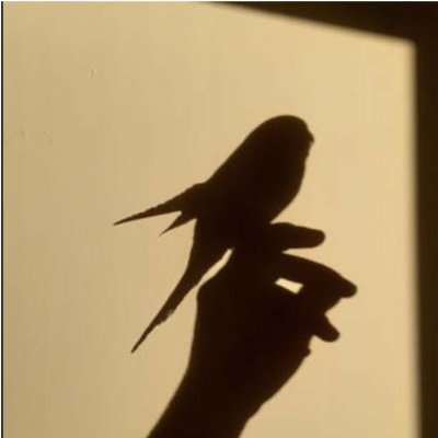 ColleenSadows's profile picture. ann arbor administrator; opinions my own, ...