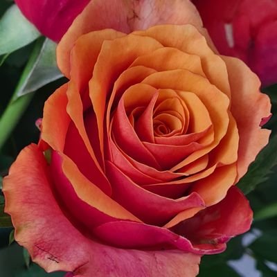 JustinePrigmore's profile picture. 