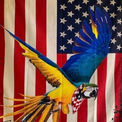 “She was the kind of person that keeps a parrot. “- Mark Twain. Patriot 🇺🇸 Christian 🙏 #MAGA #SaveAmerica #TrumpWon Jesus is KING! Trump is the MAGAKING!