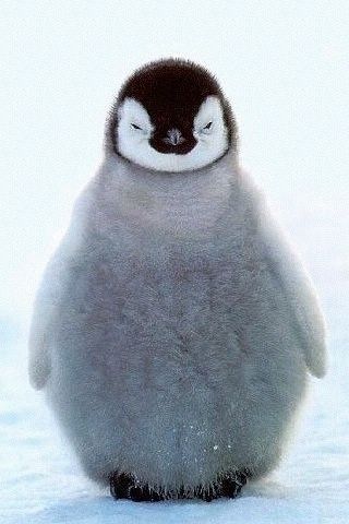 oneflow19's profile picture. 受験生です ONE OK ROCK FLOW 東京事変が好きです ドラムやってます