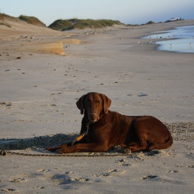 DavidDmasland's profile picture. Right of center Republican who believes the 2020 election was stolen.. where are the seven million no shows in 2024