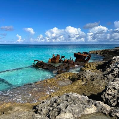 ALEXMIAMI77's profile picture. 