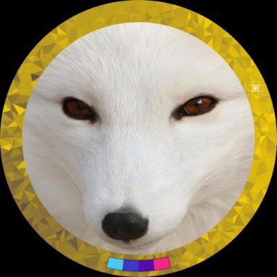 A Fox