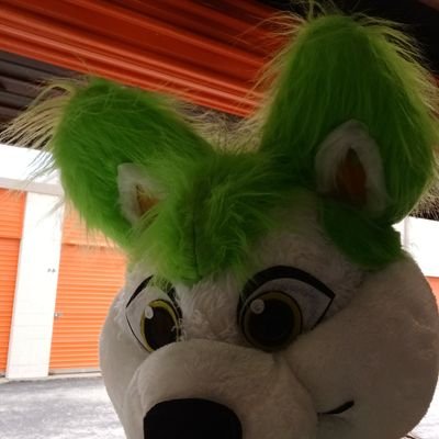 A cute husky mixed fox. love wolves and all animals. single bi furry.need cuďdles.join Mar 2022. friend for life.