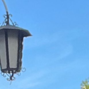 iamnotherehehe's profile picture. 