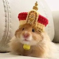 Hamsteryx(@hamsteryx) 's Twitter Profile Photo