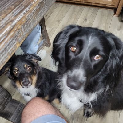 Chaos4Zen's profile picture. Happily married Conservative. Decided to return since Elon Musk is buying Twitter. #MAGA, #saveamerica