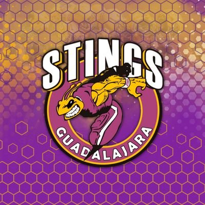 Equipo de Fútbol Americano #LNFASerieB 🏈🇪🇸
Instagram: @stingsguadalajara
#StingLikeABee