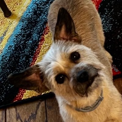 123findme4's profile picture. 