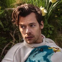 best of harry.(@theharrylibrary) 's Twitter Profile Photo