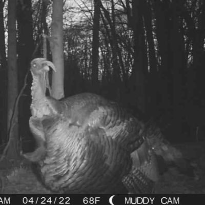 Ron51793156Ron's profile picture. B&D construction We are a custom residential framing company in business for over 30 years