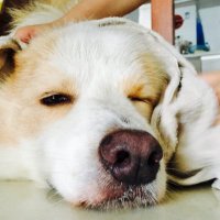 GH-X-ST (@ghxst12476) 's Twitter Profile Photo