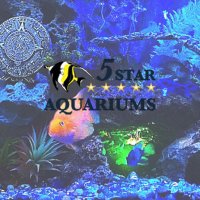 5 Star Aquariums(@5StarAquariums) 's Twitter Profile Photo