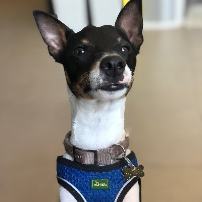 MizChoppy86's profile picture. Keeping it gravy a 100% of the time