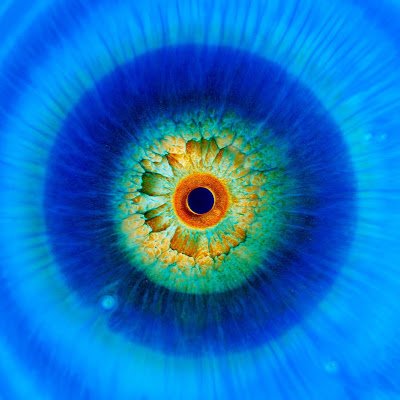 Herrvonuzu1's profile picture. 