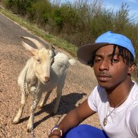 Zon Dada ☀️♻️ (@zo3tv) 's Twitter Profile