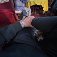 Dani (@dani80493628) 's Twitter Profile