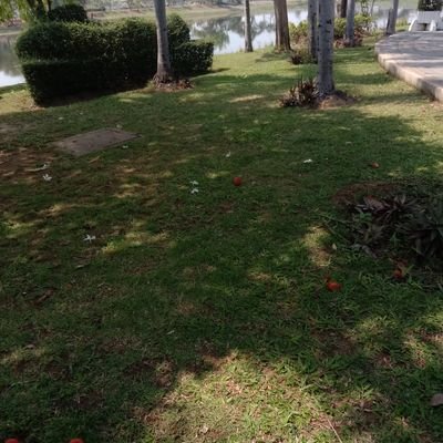 8CeL2WOU27s8Naf's profile picture. 