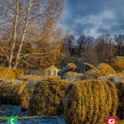 johnpfyc's profile picture. 